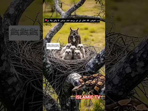 Nahi sunta hi nahi mangny 🕋🧎‍♂️😭😭 #like #love #shortvideos #viral #trending #tiktok #shorts #reels
