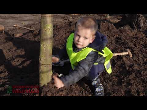 Kinderboomplantdag 2019 - Video 1