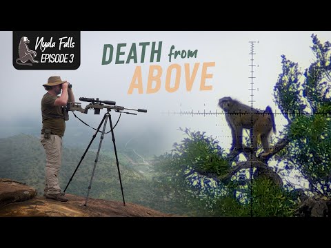 Shooting Baboons from a Cliff! | Nyala Falls, Part 3