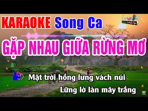 Gặp Nhau Giữa Rừng Mơ Karaoke Song Ca | Nhạc Sống Thanh Ngân