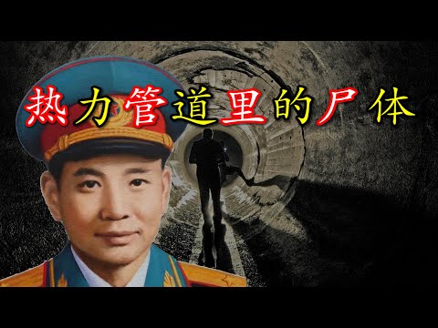 中华人民共和国第三任公安部长李震遇害案（前篇）