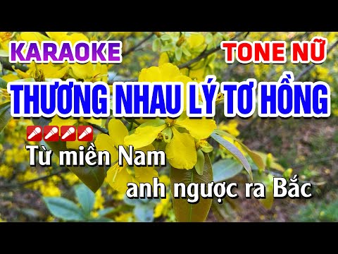 Karaoke Thương Nhau Lý Tơ Hồng Tone Nữ Remix Sôi Động | Karaoke Tú Anh