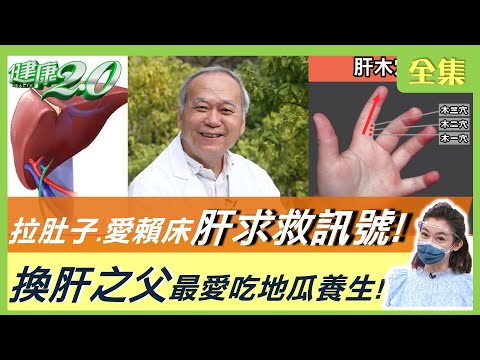 全球爆兒童不明肝炎5死！與新冠病毒有關？拉肚子.皮膚黃.愛賴床 肝臟求救訊號！名人肝功能受損容易累 換肝續命！換肝之父陳肇隆最愛吃地瓜養生！ 健康2.0 20220515 (完整版)