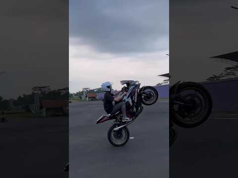 Tutorial willy pake ZX 25r - lucky putra #shorts #willy #zx25r #short