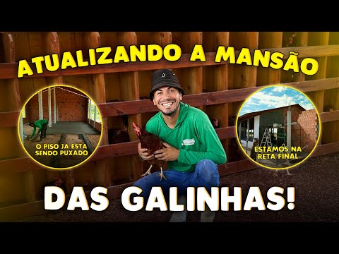 A MANSÃO DAS GALINHAS TÁ GANHANDO FORMA!