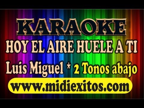 KARAOKE – HOY EL AIRE HUELE A TI – LUIS MIGUEL * 2 Tonos abajo