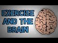 Benefits of Exercise for Brain Health