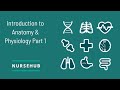 Anatomical Terminology and Concepts