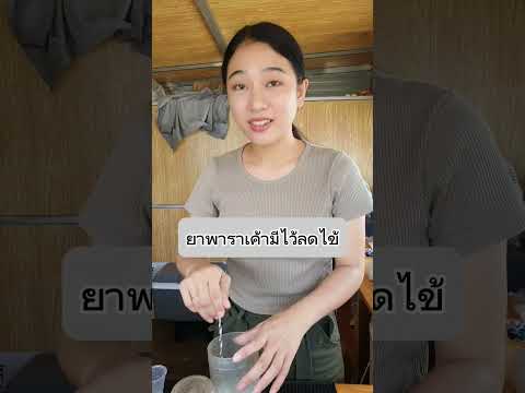 จีบด้วยยาพารา #จีบ #จีบสาว #มุขจีบสาว #มุขเสี่ยว #พาราเซตามอล #paracetamol #ไข้หวัดใหญ่ #ไข้หวัด