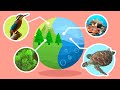 Explorando Hábitats y Ecosistemas