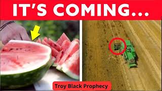 God Showed Me This About Food Production   Prophecy  _ Troy Black