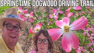 Knoxville's Dogwood Driving Trail / We Found Traditional Chicago Dogs and Italian Hot Beef 2026