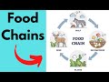 Food Chains and Trophic Levels