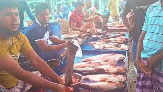Expert Pangash Fish Cutting Skills in the Market | Dh Bangla Media