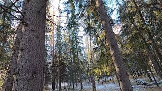 видео