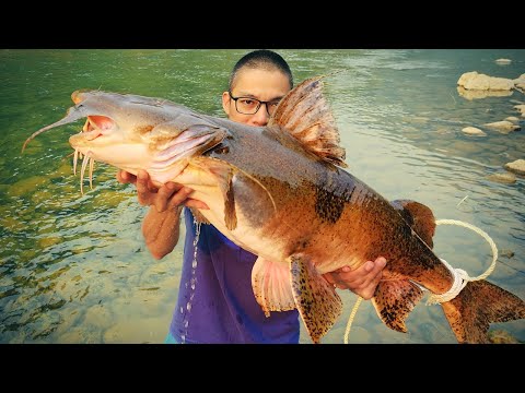 CÁ KHỦNG SÔNG ĐÀ & MÓN NGON • Tập 7 - Ký Sự Rừng Già 10
