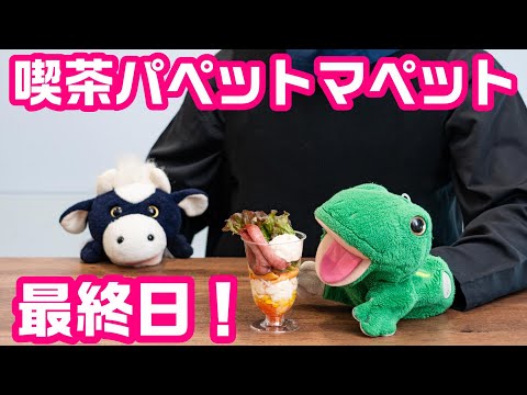 コラボカフェ最終日！1回戦突破祝い！パペットマペット雑談生放送🐮🐸