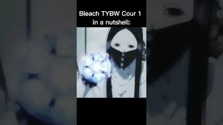 Bleach TYBW Cour 1 in a nutshell ☠️ #bleach #anime #animeedit #tybw