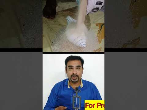 அதிசய வலம்புரி சங்கு #shortsfeed #shorts #youtubeshorts #trendingvideos #viral #nammapalani #palani