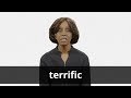 Understanding the Concept of 'Terrific'