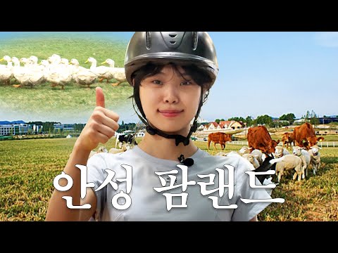 [혼자 놀기 시리즈] 내향인 + 집순이도 안심할 수 있는 곳.