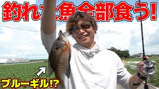 問答無用！釣り上げた魚は全部食べる！！