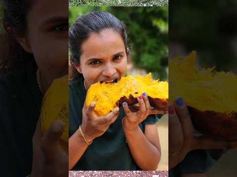 പാലക്കാട്‌ ജീവിക്കുന്ന ഞാൻ കരിമ്പന പഴം കാണിച്ചില്ലേൽ മോശം അല്ലേ 😀// Palm Fruit....