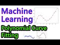 Polynomial Curve Fitting Concepts