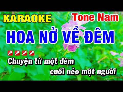 Karaoke Hoa Nở Về Đêm Nhạc Sống Tone Nam | Hoài Phong Organ