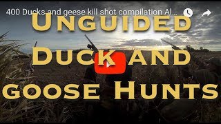 400 Ducks and geese kill shot compilation Alberta Canada