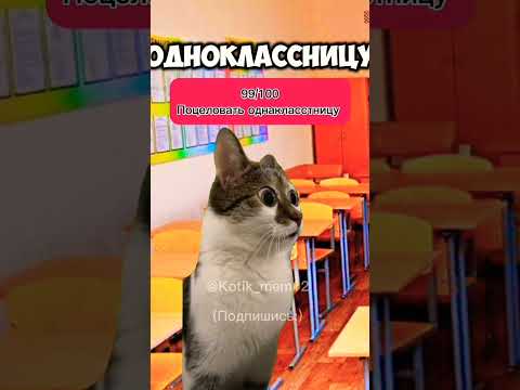 Котик выполняет все сложные задания чтоб стать супер богатым. 😎 Звук @chinooesh #кот #хочуврек