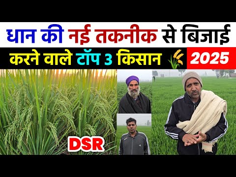 धान की नई तकनीक से बिजाई करने वाले टॉप 3 किसान | dhan ki top variety | dhan ki kheti 2025