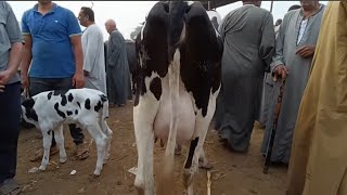اللى مياخدش باله فى سوق المواشى بياخد علي قفاه حط عينك 👁 جوه راسك