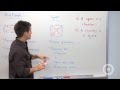 Properties of Squares and Rectangles