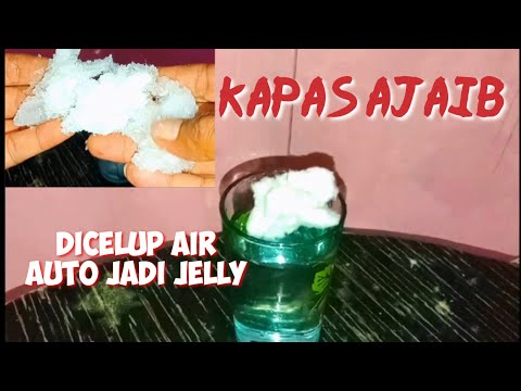 Review kapas ajaib | dicelup air berubah jadi jelly | eksperiment