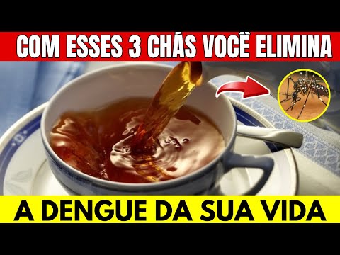 3 CHÁS SECRETOS que Vão ELIMINAR A DENGUE DA SUA VIDA E POUCOS SABEM