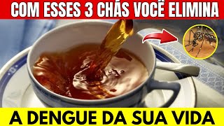 3 CHÁS SECRETOS que Vão ELIMINAR A DENGUE DA SUA VIDA E POUCOS SABEM
