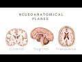 Neuroanatomical Planes and Functions
