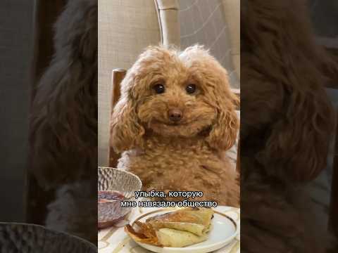 Настоящая улыбка