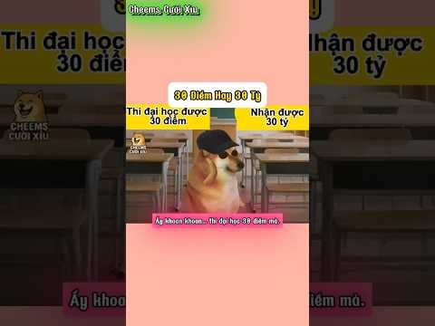 Chọn 30 Điểm hay 30 Tỷ | Cheems Cười Xỉu #cheems