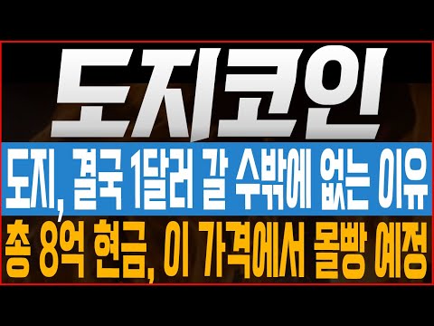 [도지코인 코인전망] 도지, 결국 1달러 갈 수밖에 없는 이유?! 총 8억 현금, 이 가격에서 몰빵 예정! #도지코인호재 #도지코인 #도지코인목표가 #도지코인대응