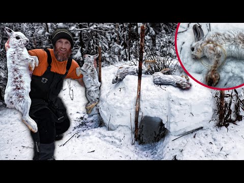 World's Deadliest SNOW IGLOO! (Trail Cam Action) - TESTING NEW Life Saving Primitive Survival Trap