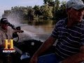 Alligator Encounter and Relationships
