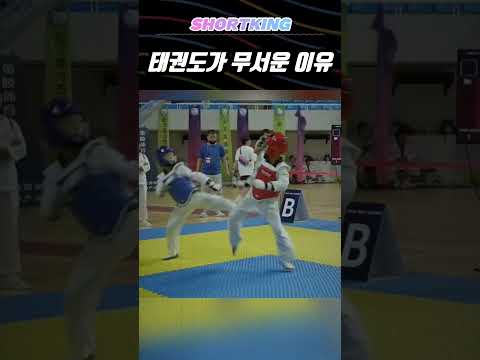 Why Taekwondo Is Scary #태권도