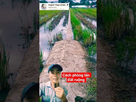 miền tây đỉnh chưa #videoviral #mientay