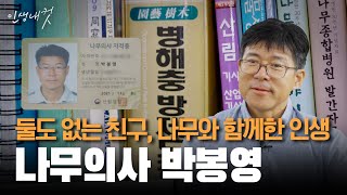 나무의사의 따뜻한 손길, 한 그루의 생명을 살리다, 나무의사 박봉영 | 인생내컷 | 24년 10월 27일 다시보기