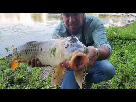 una manana de pesca