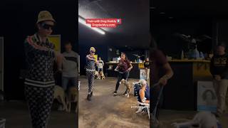 Dog Daddy Helping Dogs Around The World.