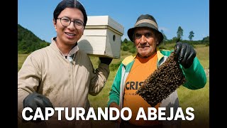 Capturamos una colmena de abejas