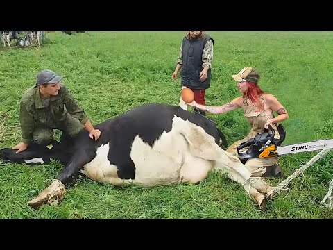 Revolutionizing Farming Advanced Techniques for Holstein Cows & Machinery